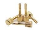 Silver / Gold Plated Dental Screw Post 120pcs 240pcs With Two Keys
