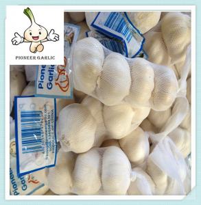 Quality best price china online shopping garlic Super grade red purple China garlic for sale