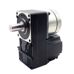 Quality DC24V 40W BLDC Servo Motor with 1:60 Gear Ratio and Clutch for Anti-collision Swing Gate for sale