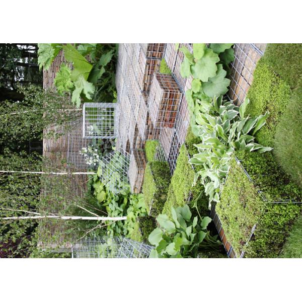 Hexagonal Or Square Galfan Gabion Baskets / Gabion Stone Cages For Decorative