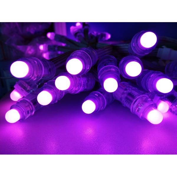 Miracle Bean RGB 12MM LED Pixel Module 1903 0.3W DC12V High Brightness 2 Years Warranty