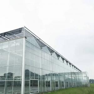 Quality Automated Hydroponic Green House Venlo Double Roof Green House Agriculture Tomato for sale