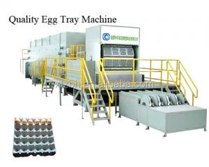 Quality Pulp Molding  Egg Box Forming Machine 30t Carton Forming Fully Automatic for sale