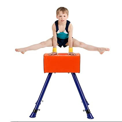 Fig Approval Gymnastics Artistic Gymnastics Double Pommel Training Pod