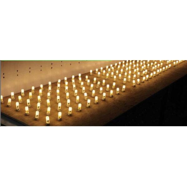 12V G4 LED Light SMD3014