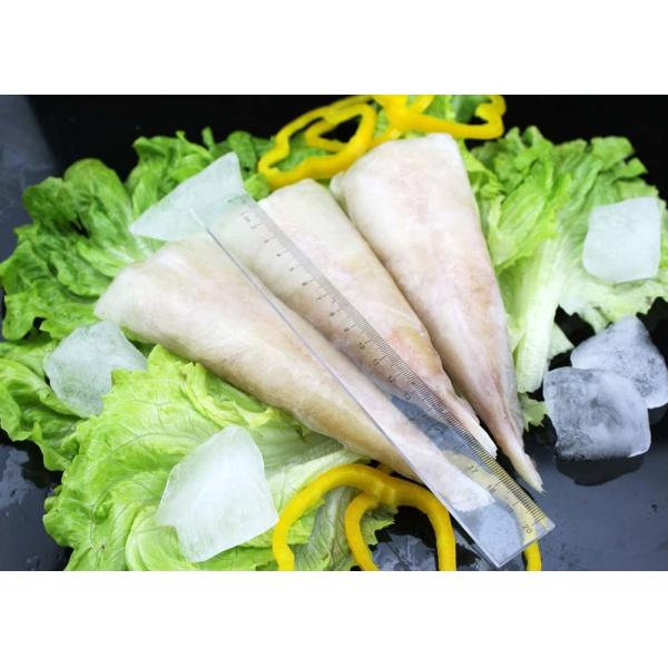 Natural Color frozen Monkfish tail