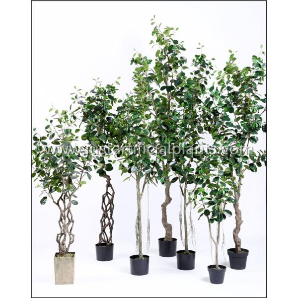 Ideal Tropical Artificial Banyan Tree Small Leaves Special Design Eco Friendly