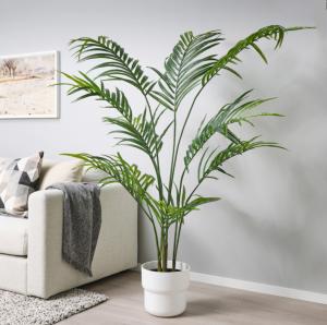 Quality Height 220cm Green Artificial Plant For Indoor Decoration Kentia Palm Tree for sale