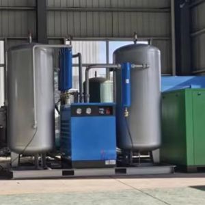 Quality 99% Purity Psa Oxygen Generator Vpsa Oxygen Production Equipment for sale