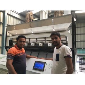 Quality Multifunctional Grain Color Sorter With 220V 50HZ Single Phase for sale