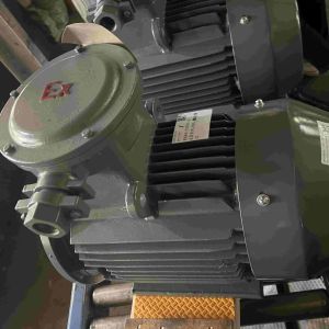 China 230V 1KW Low Voltage Electric Motors High Efficient RoHS on sale