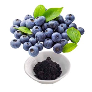 China Bilberry Extract Anthocyanidins on sale