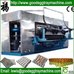 Quality Egg Tray Forming Machine for sale