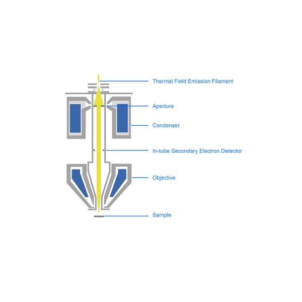 Opto Edu A63.7088 Schottky Field Emission Gun Scanning Electron Microscope SE+CCD 1x~2000000x