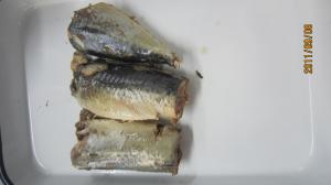 Quality 425g Jack Mackerel Canned In Brine In Tomato Sauce From China for sale
