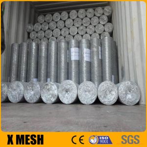 Galvanized Wire Mesh Chicken Wire Mesh With Hexagonal Wire Netting
