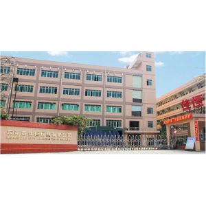 Dongguan City Jiaheng Toys Co., Ltd.