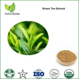 Quality ecg green tea extract,green tea extract supplements,green tea extraction polyphenols for sale