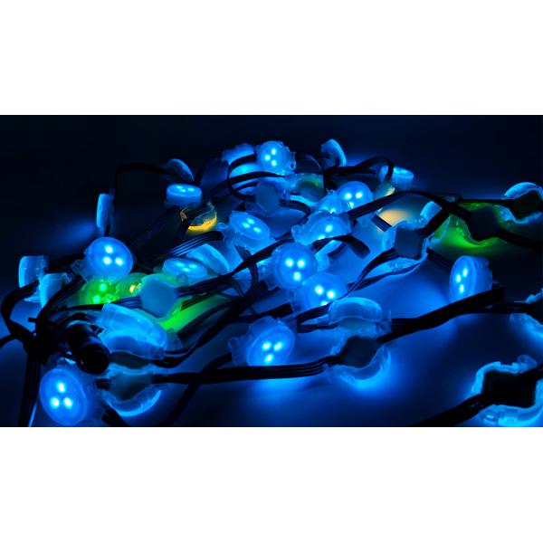 Led Point Light Source DC12V RGBW SMD5050 IP67 Waterproof High Brightness 3cm For Outdoor Building