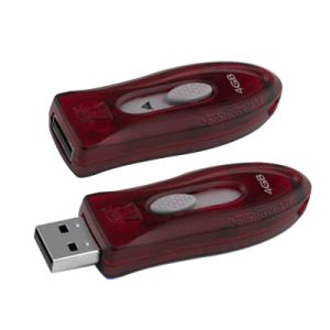 kingstion DT-110 Flash Drives