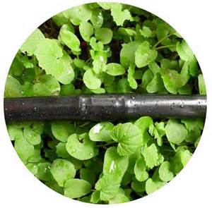 Cylindrical Drip Irrigation Pipe Making Machine Speed up to 60m/min high speed