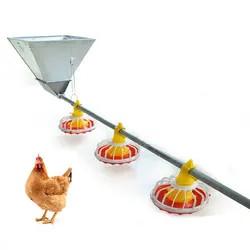 Quality Original factory wholesale, flat chicken goose automatic feeding system, chicken duck feed line for sale