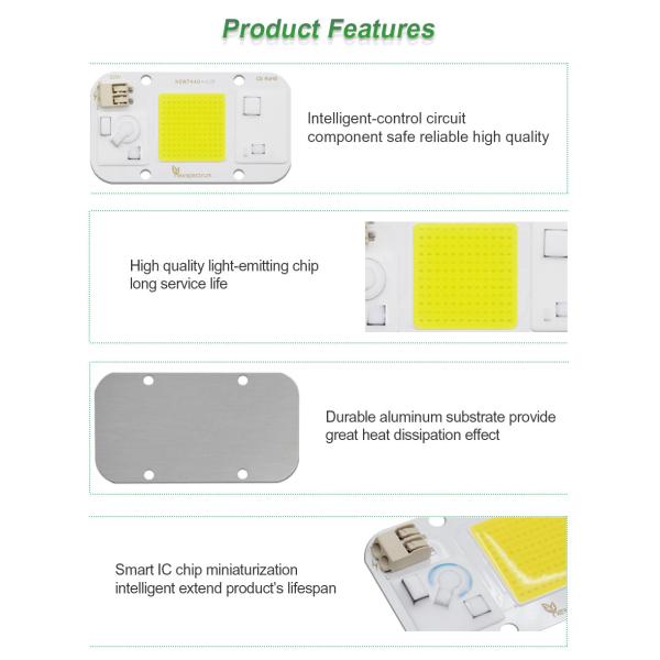Warm White Light 50 Watt Cob Led Chip Energy Saving Design Superior Waterproof