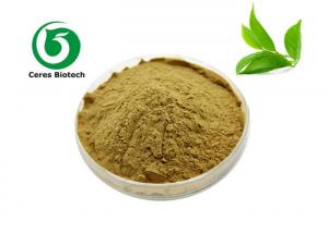 Quality Anti Oxidation Polyphenols 95% EGCG 45% Green Tea Extract for sale