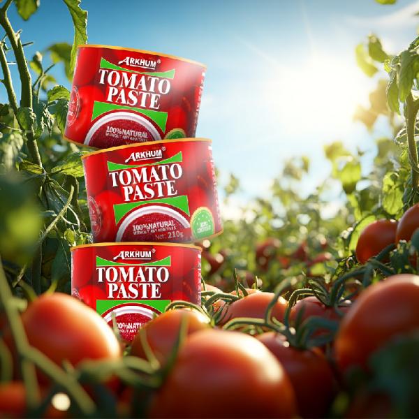 Original Flavor Versatile Tomato Paste With Tart Citric Acid In Tin Can