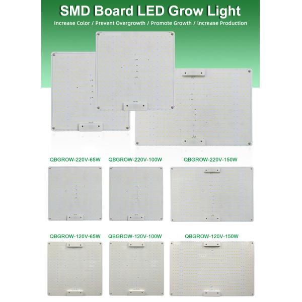 Full Power 100W Horticulture SMD Chip 3000K For Greenhouse Plants