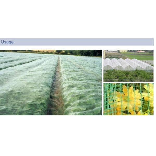 Colored HDPE Material Insect Mesh Netting High Tensile Strength Customized Width