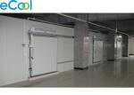 Large Scale Frozen Sea Food Storage Warehouse For Fish Processing Factory Or