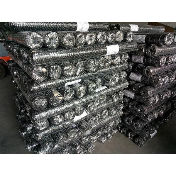 High Intensity Heavy Gauge Galvanised Chicken Wire Mesh Animals Plants Fencing ISO Approval