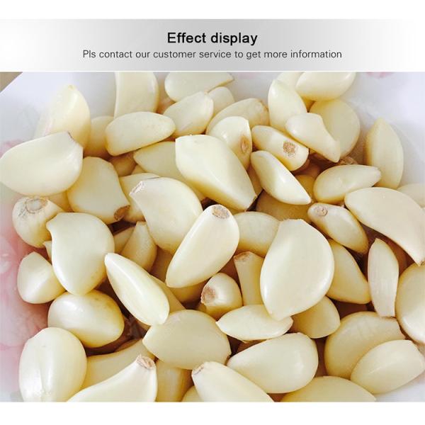Garlic Peeling processing production Machine minced garlic processing production