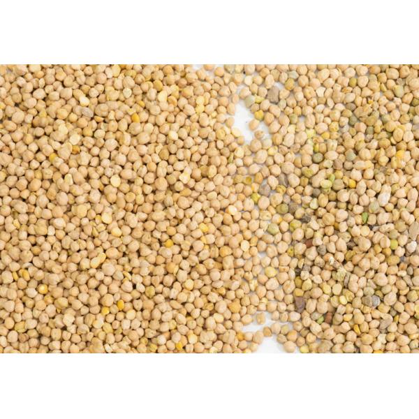 Wenyao Chickpea Color Sorter CCD Camera Beans Color Sorting Equipment