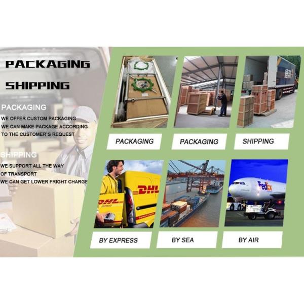 Electrothermal Fanned Dryer Lab Drying Oven applied for drying, baking, wax melting