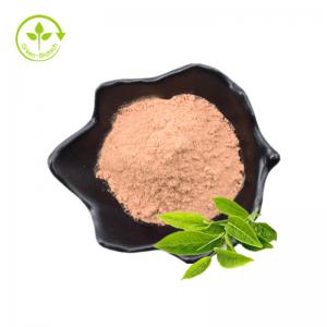 Quality 100% Natural Instant Tea Extract Powder Green Tea Extract Black Tea Extract White Tea Extract for sale