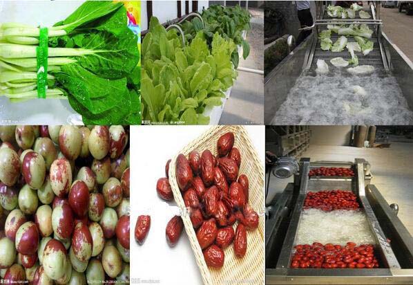 Rooted Plant Fruit And Vegetable Processing Machinery Washing Equipment Large Capacity