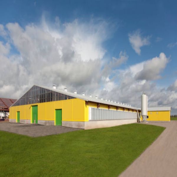 Fast Installation Customizable Steel Workshop Building with High-Strength Steel Frame