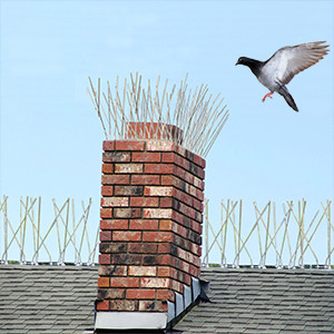 Bird Spikes for Pigeons Small Birds,Stainless Steel Bird Spikes -No More Bird Nests & Poop-Disassembled Spikes 10 Strips