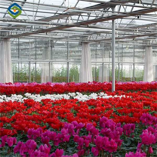 Rectangular Large Commercial Greenhouse Multispan Agricultural Greenhouse