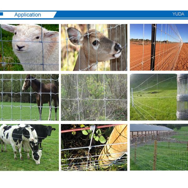High Tensile Field Fence Galvanized Wire Woven Fixed Knot Goat Cattle Mesh