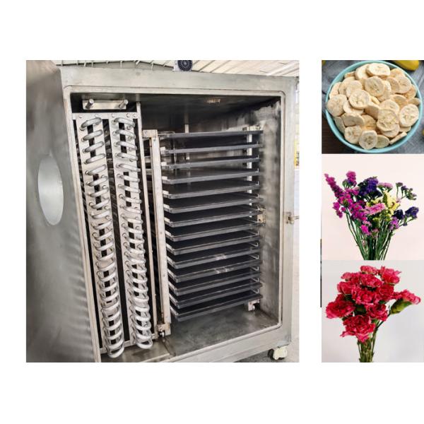 Revolutionize Vegetable Drying Process With Vegetable Freeze Dryer