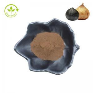 Quality Health Product Organic Powder 1% S-Allyl-L-Cysteine SAC Black Garlic Extract for sale