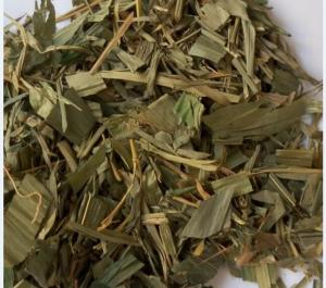 China Online chinese herb store Lophatherum gracile Brongn leaves Common Lopatherum Herb Dan zhu ye on sale