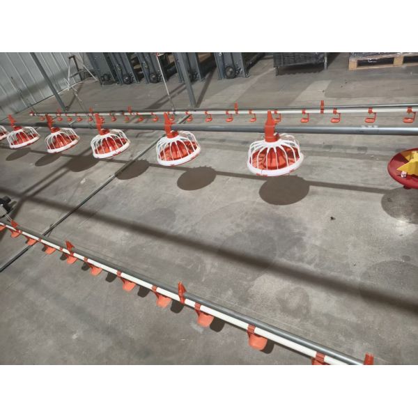 Economical Automatic Broiler Ground Breeding System with Galvanized Steel Chicken Farm Equipment