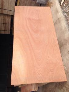 China 1220*2440 poplar core or combine core or hardwood core  plywood size for cabinets on sale