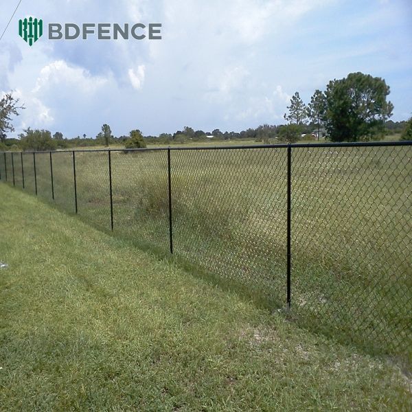 Public Toilet Chain Link Fence Privacy