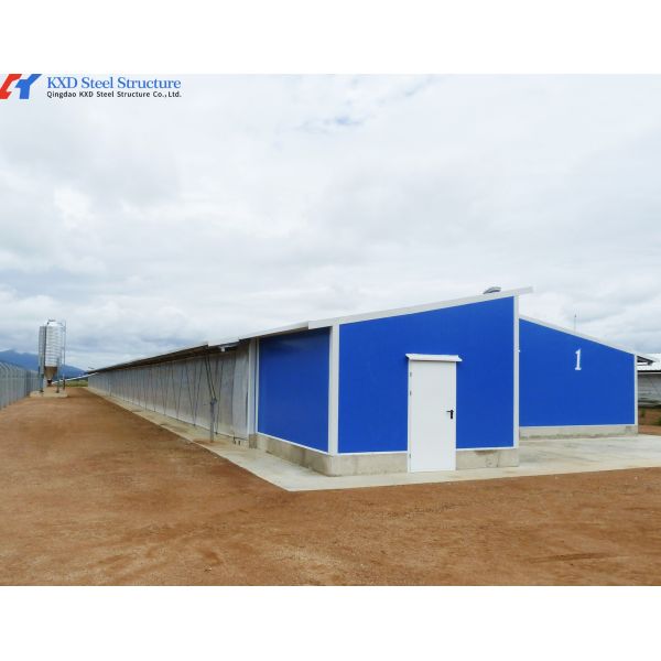 Broiler Poultry Farming Equipment H Type Galvanized Automatic Battery Chicken Cages