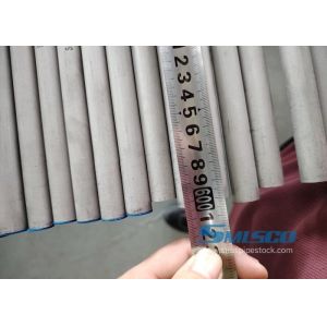 TP321 Stainless Steel Boiler Tube ASTM A213 for Superheater